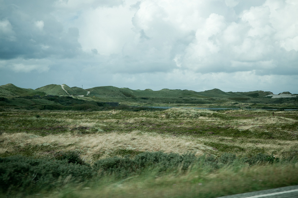 IMG_4671_976x